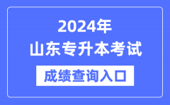 2024年山東專升本考試成績查詢入口（https://www.sdzk.cn/）